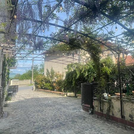 Luxury House Teodora Villa Deva Luaran gambar