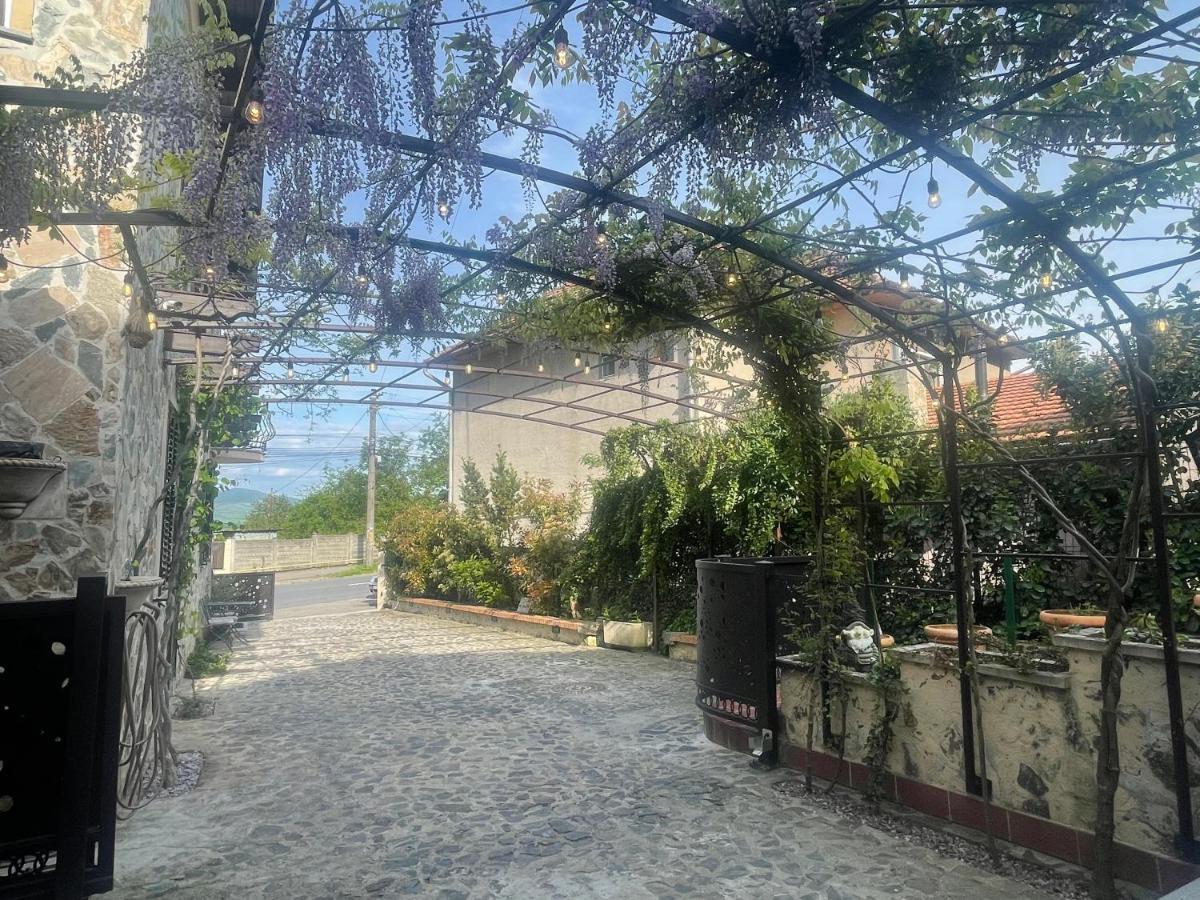 Luxury House Teodora Villa Deva Luaran gambar